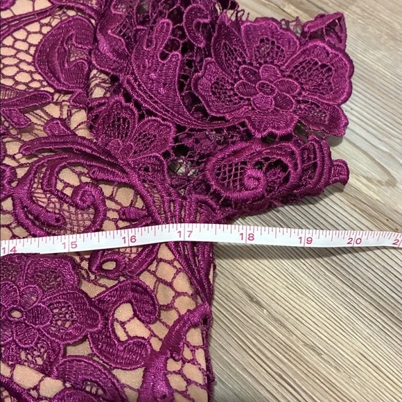 Dress The Population Anna mulberry & nude lace dress size S Cocktail Evening - Picture 7 of 9